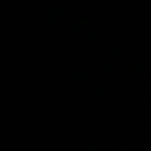 Meet your Posher, Mia